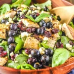 Bowl of Chicken Blueberry Feta Salad with grilled chicken, fresh blueberries, dried cranberries, feta, and spring greens with balsamic vinaigrette.
