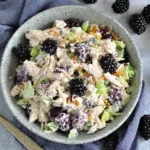 Low Carb Blackberry Cottage Cheese Chicken Salad in a bowl with shredded chicken, celery, and fresh blackberries—creamy, high-protein, and low carb.